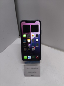 photo_2026-03-31_11-21-43