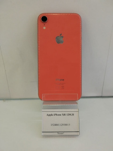 photo_2026-03-31_11-32-19